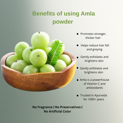 Amla Powder – Ayurvedic Superfood for Hair & Skin